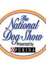 Watch National Dog Show Zumvo