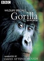 Watch Gorilla Revisited with David Attenborough Zumvo