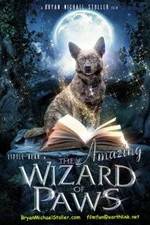 Watch The Amazing Wizard of Paws Zumvo