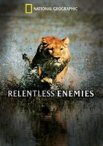 Watch Relentless Enemies Zumvo