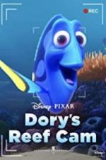 Watch Dory\'s Reef Cam Zumvo