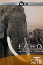 Watch Echo: An Elephant to Remember Zumvo