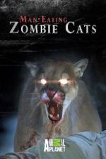 Watch Man-Eating Zombie Cats Zumvo