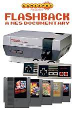 Watch Flashback NES Documentary Zumvo