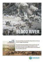 Watch Blood River Crossing Zumvo