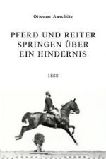 Watch Pferd und Reiter Springen ber ein Hindernis Zumvo