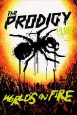 Watch The Prodigy World's on Fire Zumvo