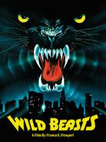Watch The Wild Beasts Zumvo