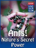 Watch Ants: Nature\'s Secret Power Zumvo