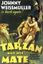 Watch Tarzan and His Mate Zumvo
