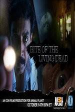 Watch Bite of the Living Dead Zumvo