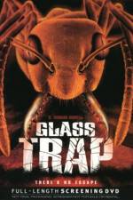 Watch Glass Trap Zumvo