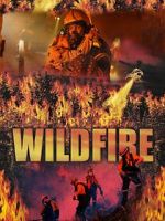 Watch Wild Fire Zumvo