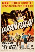 Watch Tarantula Zumvo