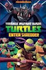 Watch Teenage Mutant Ninja Turtles: Enter Shredder Zumvo