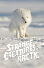 Watch Strange Creatures of the Arctic (TV Special 2022) Zumvo