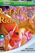 Watch Equator Reefs of Riches Zumvo