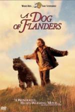 Watch A Dog of Flanders Zumvo