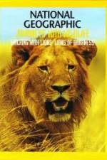 Watch National Geographic: Walking with Lions Zumvo