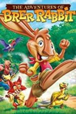 Watch The Adventures of Brer Rabbit Zumvo