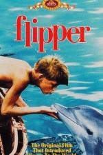 Watch Flipper Zumvo