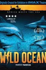 Watch Wild Ocean Zumvo