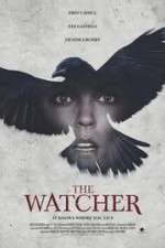 Watch The Ravens Watch Zumvo