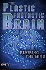 Watch The Plastic Fantastic Brain Zumvo