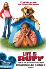 Watch Life Is Ruff Zumvo