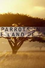 Watch Nature Parrots in the Land of Oz Zumvo