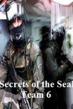 Watch Discovery Channel Secrets of Seal Team 6 Zumvo