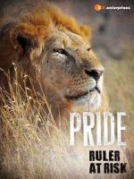 Watch Pride - Ruler\'s at Risk Zumvo