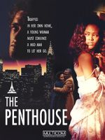 Watch The Penthouse Zumvo