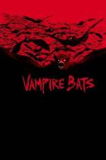 Watch Vampire Bats Zumvo