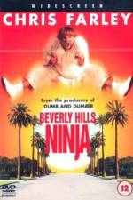 Watch Beverly Hills Ninja Zumvo