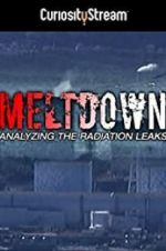 Watch Meltdown: Analyzing the Radiation Leaks Zumvo