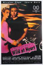 Watch Wild at Heart Zumvo