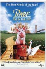 Watch Babe: Pig in the City Zumvo