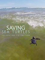 Watch Saving Sea Turtles: Preventing Extinction Zumvo