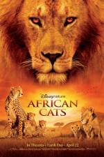 Watch African Cats Zumvo