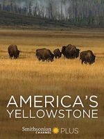 Watch America\'s Yellowstone Zumvo