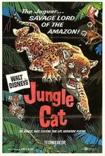 Watch Jungle Cat Zumvo