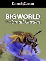 Watch Big World in a Small Garden (TV Short 2016) Zumvo