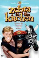 Watch Zebra in the Kitchen Zumvo
