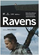 Watch Ravens Zumvo