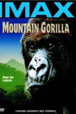 Watch Mountain Gorilla Zumvo