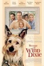 Watch Because of Winn-Dixie Zumvo