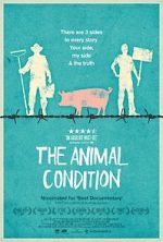 Watch The Animal Condition Zumvo