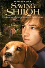 Watch Saving Shiloh Zumvo