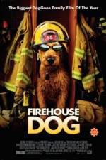 Watch Firehouse Dog Zumvo